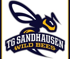 Basketball Regionalliga-Damen: Mit hoher Treffsicherheit und Pressverteidigung zum Erfolg