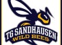 Samstag: Basketball-Derby in der Hardtwaldhalle – Wild Bees vs Young Guns