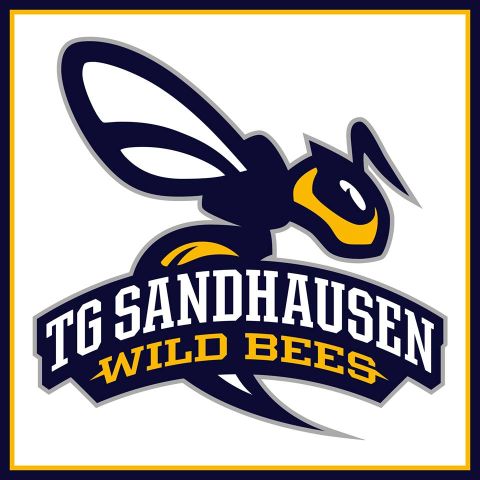 Wildbees: Regionalliga-Damen mit überraschendem Punktgewinn gegen USC Freiburg