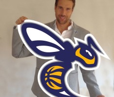 Neues Logo & Konzept bei der TG Sandhausen Basketball: Jetzt greifen die „Wild Bees“ an