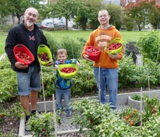 Nußlocher Chili-Ernte unter Vollschutz: Manche Sorten sind waffenfähig und unverkäuflich