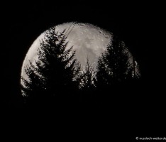 Für Werwölfe, Vampire, Monster und Co.: Der perfekte Mond zu Halloween