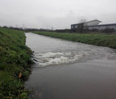 Hochwasserwarnung: 56 Liter Regen in 24 Stunden – Weitere Niederschläge erwartet