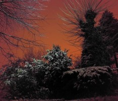 Der Winter ist (ein bißchen) da! </br>Der erste Schnee liegt auf den Höhen