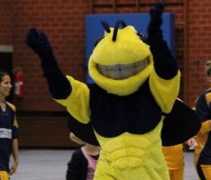 Wild Bees rüsten auf: Maskotchen „Buzz R. Beater“ geht mit an den Start