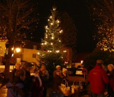 Stadtteilverein spendet Weihnachtsbäume: </br>Vor der alten Fabrik und in Aegidiushalle