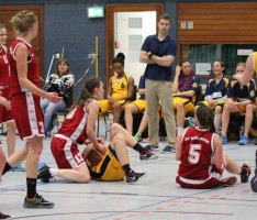Basketball: Von Bienen und Panthern