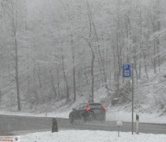 Gesprächsthema Wetterkapriolen: </br>Der Frühling ist da! Hurra, es schneit!