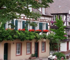 VHS Fahrt: Weinheim mit Besuch in der Molkerei Hüttenthal