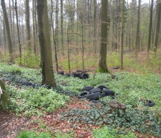 Altreifen auf Waldparkplatz vor Gauangelloch abgeladen – Zeugen gesucht
