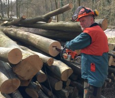 Kreisforstamt: Kampf den Holzdieben – Holzpolter werden per GPS überwacht