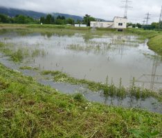 „Elvira“ hält die Region in Atem: Hochwasser, Überflutungen, Staßensperrungen