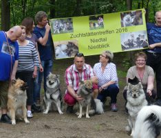 Sandhäuser Waldfestplatz wurde zum großen Hundespielplatz: Eurasier-Treffen