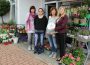 Blumen Hornstein nach Umzug nun in der Bürgermeister-Lingg-Straße