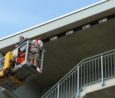 Artenschutz beginnt vor der (eigenen) Haustür – „Let it grow“ – Artenschutztag am 3. Juli