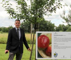 „Winterprinzenapfel“: Leimener Apfelbäumchen auf Golfplatz St. Leon-Rot