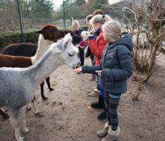 Den Zoo und seine tierischen Bewohner intensiv kennenlernen