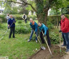 Freiwilliger Arbeitseinsatz: Menzerpark auf gutem Weg zum „Leimener Keukenhof“