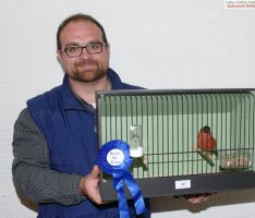 Vogelausstellung Sandhausen: Marco Linggs Nordischer Dompfaff bester Vogel der Schau