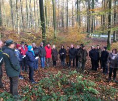 Gut besuchte Waldbegehung – Leimener Gemeinderat informierte sich vor Ort