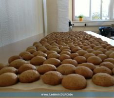 Plätzchenbacken für den Weihnachtsmarkt