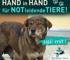 Spendenaktion „Hand in Hand für notleidende Tiere“ auch zug. Tierrettung