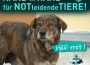 Spendenaktion „Hand in Hand für notleidende Tiere“ auch zug. Tierrettung