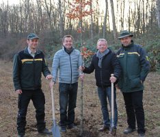 Anpfiff für Wiederaufforstung – Forst und SVS pflanzten gemeinsam den ersten Baum