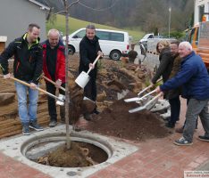 Kirschenweg in Lingental ist fertiggestellt –  Zur Einweihung zwei Baumpflanzung