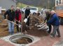 Kirschenweg in Lingental ist fertiggestellt –  Zur Einweihung zwei Baumpflanzung