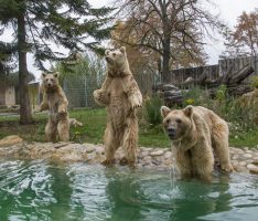Weihnachten im Zoo Heidelberg