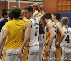 TG Sandhausen Basketball: Wild Bees siegen im Derby gegen Wiesloch