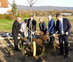 Quittenpfad-Kleingartenanlage fertig – Baumpflanzung zum Erschließungsende