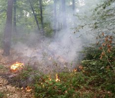 Waldbrandgefahr: Sperrung der Grill- und Feuerstellen im gesamten Kreisgebiet