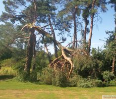 Orkanwarnung für den Rest der Woche – Waldbesuche vermeiden – Gefahr!