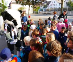 SV Sandhausen: Mit Freikarten zum KIDS-Spieltag gegen SSV Jahn Regensburg