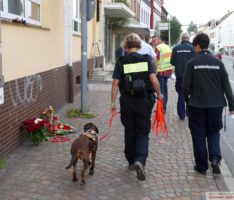 Tötungsdelikt in Leimen: Spurensuche geht weiter – Polizeihund im Einsatz