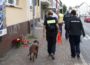 Tötungsdelikt in Leimen: Spurensuche geht weiter – Polizeihund im Einsatz