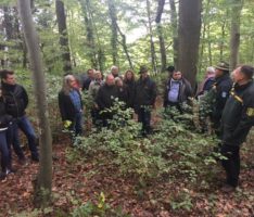 Gut besuchte Waldbegehung – Leimener Gemeinderat informierte sich vor Ort