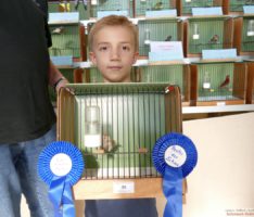 „Angry Birds“ oder „Happy Birds“? </br>Ausstellung der Vogelzüchter Sandhausen
