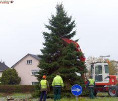 Aber hallo! Das ist ja mal ein Baum! Weihnachten kann kommen!