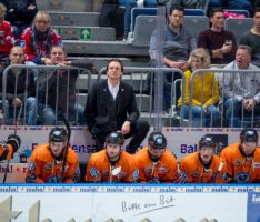 Mannheimer Adler: Pavel Gross entscheidet sich für die Adler