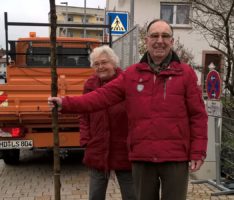 Baumspende in St. Ilgen: </br>Ehepaar Proske spendet Feldahorn