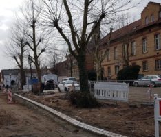 Neue Platzgestaltung in St. Ilgen – Baumfällarbeiten erforderlich