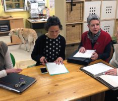 Die Arbeit des Presseteams vom Tierschutzverein Wiesloch-Walldorf