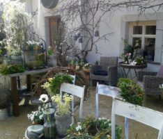 Am Wochenende: Frühlingserwachen im Landgut Lingental