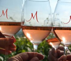 Am Wochenende im Weingut Müller: „Rhythm & Wine – unser Weinfest ist Kult“