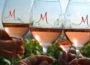 Am Wochenende im Weingut Müller: „Rhythm & Wine – unser Weinfest ist Kult“