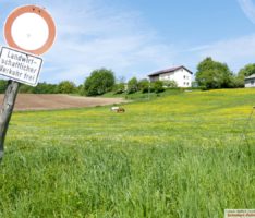 Ausflugsziel: Idyllische Ausblicke in herrlicher Umgebung genießen