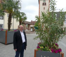 Eine echte Augenweide: </br>Palmen und Oleander auf dem Mauritiusplatz